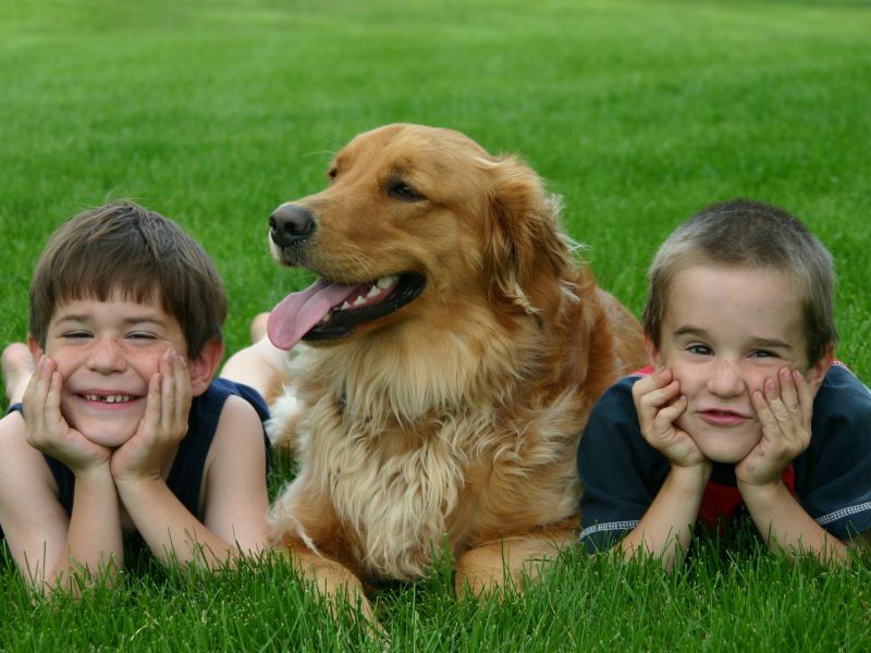Собаки та діти: як забезпечити безпечну та гармонійну взаємодію