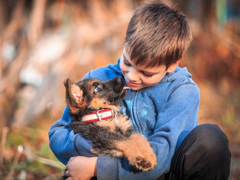 Собаки та діти: як забезпечити безпечну та гармонійну взаємодію